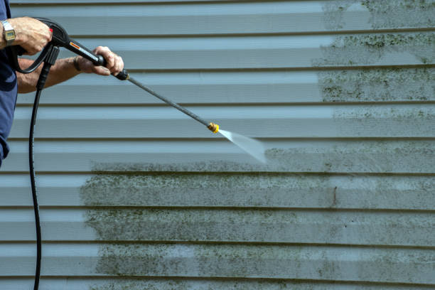 Best Garage Pressure Washing  in Cottonwood, AL