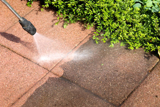 Best Commercial Building Pressure Washing  in Cottonwood, AL