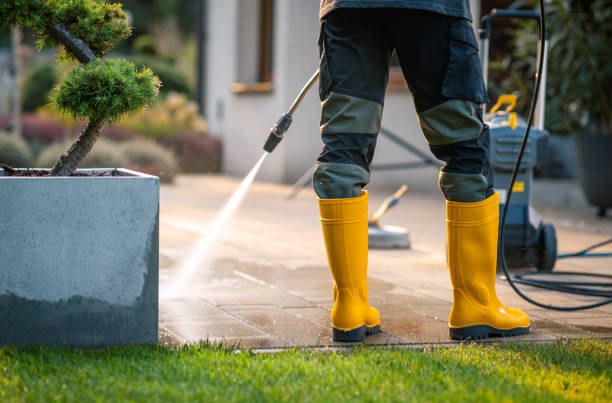 Best Pressure Washing Estimates  in Cottonwood, AL